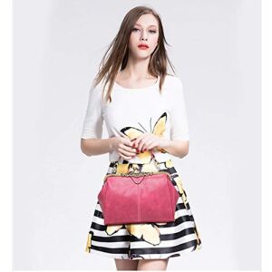 Women Vintage Small Retro Handbags Kiss Lock Crossbody Purse Frosted Leather Messenger Bag Tote