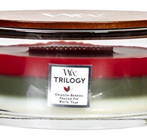 WoodWick Trilogy Winter Garland - Crimson Berries, Frasier Fir, White Teak Scented Crackling Wooden Wick Candle in Glass Vessel