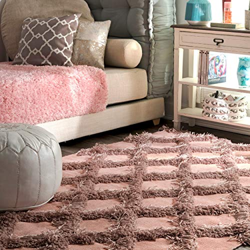 nuLOOM Francene Diamond Trellis Shag Area Rug, 4' x 6', Pink