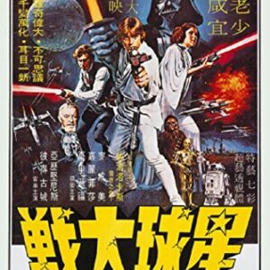 Star Wars Poster - Hong Kong One Sheet 24x36 Poster