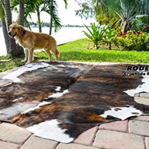 rodeo Amazing Cowhide Rug Hair on Skin cowhides Tricolor Brown Large Size