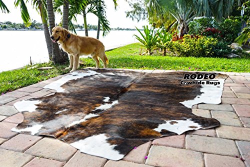 rodeo Amazing Cowhide Rug Hair on Skin cowhides Tricolor Brown Large Size