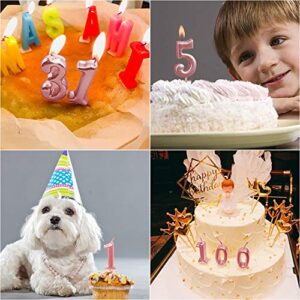 1st Birthday Candle First Year Pink Happy Birthday Number One Candles for Cake Topper Decoration for Party Kids Adults Numeral 1 10 100 11 21 16 14 12 18 13 11 91