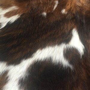 RODEO Tricolor Cow Hide Cow Skins Hair on Leather Rug Size Large TR 5x7