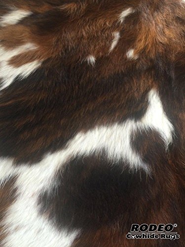 RODEO Tricolor Cow Hide Cow Skins Hair on Leather Rug Size Large TR 5x7