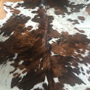 RODEO Tricolor Cow Hide Cow Skins Hair on Leather Rug Size Large TR 5x7