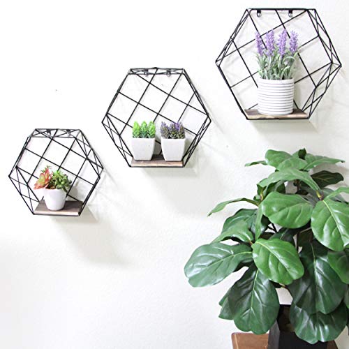 Admired By Nature Wall-Mounted Metal Wire Hanging Storage Shelves, A. Black