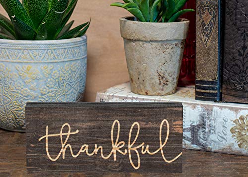 P. Graham Dunn Thankful Script Design 6 x 2.5 Inch Solid Pine Wood Farmhouse Stick Sign