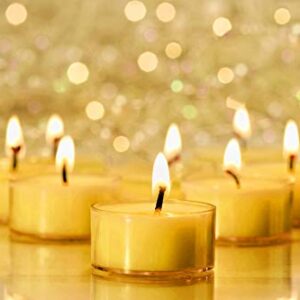 Pure Beeswax Tea Lights - 12 Pack - Handmade Decorative Unscented - Tealight Candles - 4 Hour Burn Time, Clear Cup