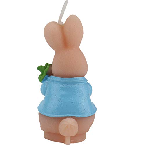 TIHOOD Cute Bunny Birthday Candle, Smokeless Rabbit Cake Candle and Party Supplies, Hand-Made Cake Topper Decoration, Great Gift (Bunny)