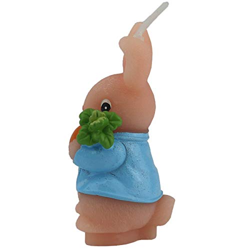 TIHOOD Cute Bunny Birthday Candle, Smokeless Rabbit Cake Candle and Party Supplies, Hand-Made Cake Topper Decoration, Great Gift (Bunny)