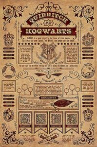 harry potter – movie poster/print (quidditch at hogwarts) (size: 24 inches x 36 inches)