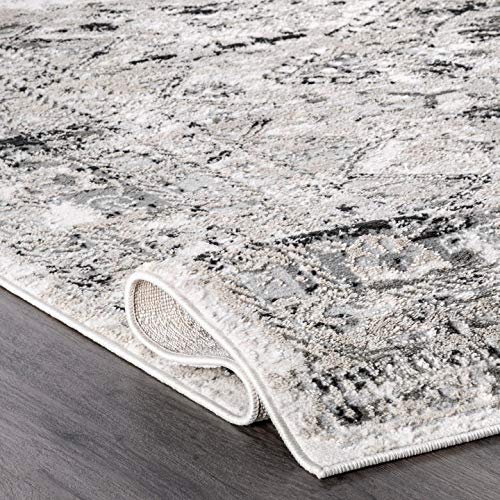 nuLOOM Shaunte Vintage Speckled Area Rug, 4' x 6', Silver