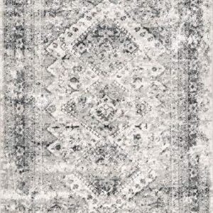 nuLOOM Shaunte Vintage Speckled Area Rug, 4' x 6', Silver