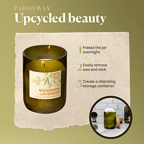 Paddywax Eco Green Collection Scented Candle, 8-Ounce, Mandarin & Lavender