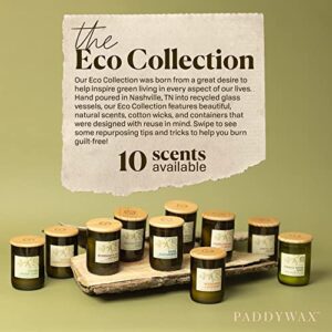 Paddywax Eco Green Collection Scented Candle, 8-Ounce, Mandarin & Lavender