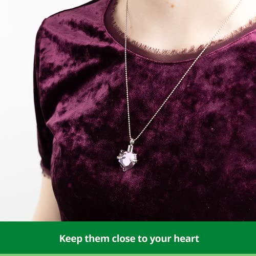 Perfect Memorials Hold My Heart Amethyst Cremation Jewelry - Beautiful Pendant for Loved One/Memorial Urn Necklace for 1 Cu/in of Adult Human Ashes, Lock of Hair, & More/Keep Them Close to Your Heart