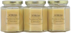 3 pack – smoke and odor eliminator candle – odor eliminating scented candles for home – neutralizes cigarette, food, and pet smells | natural soy wax candle, hand poured in the usa