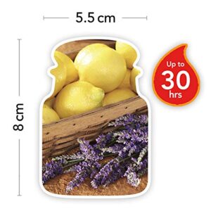 Yankee Candle 5038580018141 jar Small Lemon Lavender YSMLL, one size