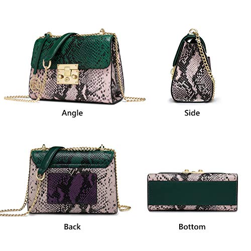 LAORENTOU Snakeskin Cow Leather Crossbody Handbags Purses for Women Lady Satchel Shoulder Bags with Chain Strap (01 Snake Green)