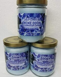 smoke odor exterminator 13oz jar candles (blue serenity, 3)