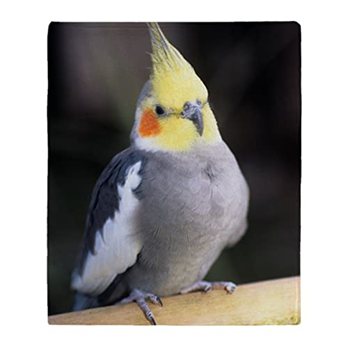 CafePress Cockatiel Throw Blanket Super Soft Fleece Plush Throw Blanket, 60"x50"