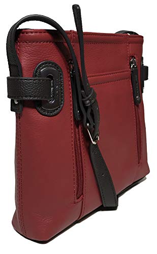 Tignanello Perfect Pockets Large Function Cross Body, Rouge/Brown