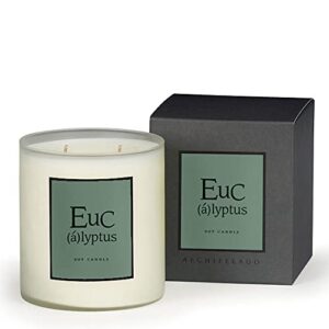 archipelago botanicals eucalyptus boxed candle | wild eucalyptus, palm leaf and musk | clean soy wax blend burns 90 hours (14 oz)
