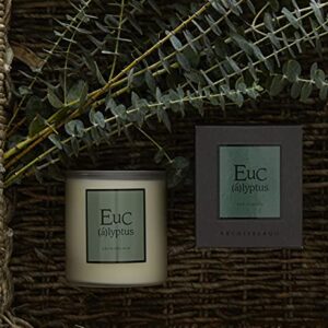 Archipelago Botanicals Eucalyptus Boxed Candle | Wild Eucalyptus, Palm Leaf and Musk | Clean Soy Wax Blend Burns 90 Hours (14 oz)