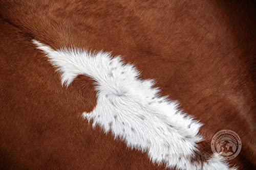 Genuine Hereford Red Brown and White Cowhide Rug Large 6 x 7-8 ft. 180 x 240 cm