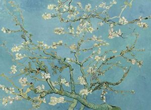 palacelearning vincent van gogh almond blossom poster print – 1890 – fine art wall decor (18″ x 24″, laminated)