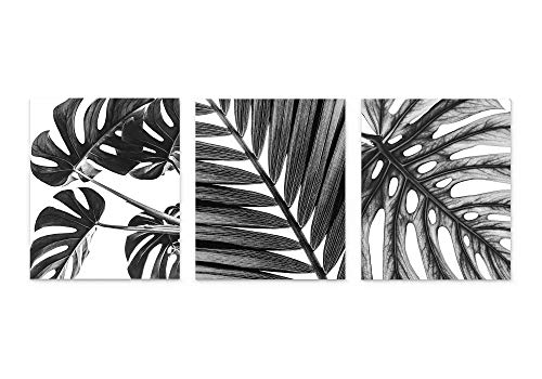 Grey Tropical Leaf Botanical Wall Art 3 Piece Print Set 8x10 Unframed Black and White Monstera and Palm Leaves for Bathroom, Bedroom Home Decor Idea