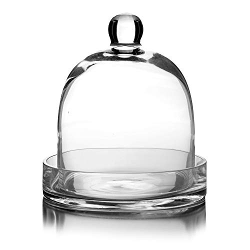 CYS EXCEL Bell Dome Cloche with Glass Base (H:8" W:7") | Multiple Size Choices Terrarium Jar Plant Cover | Cake Dessert Display