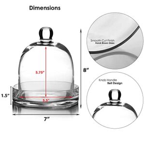 CYS EXCEL Bell Dome Cloche with Glass Base (H:8" W:7") | Multiple Size Choices Terrarium Jar Plant Cover | Cake Dessert Display