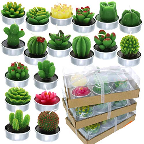 GIFTEXPRESS 18 Pcs Succulent Cactus Candles No Repeat Style, Delicate Smokeless Scented Tealight Candles for Home Décor, SPA, Wedding, Valentine's Day, Birthday Gift, Anniversary Celebration