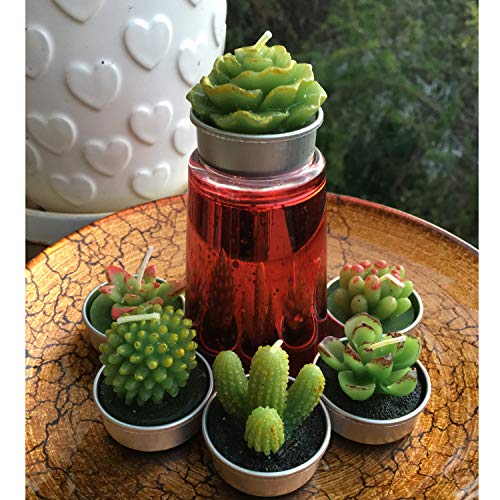 GIFTEXPRESS 18 Pcs Succulent Cactus Candles No Repeat Style, Delicate Smokeless Scented Tealight Candles for Home Décor, SPA, Wedding, Valentine's Day, Birthday Gift, Anniversary Celebration