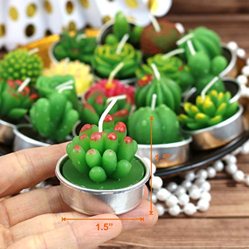 GIFTEXPRESS 18 Pcs Succulent Cactus Candles No Repeat Style, Delicate Smokeless Scented Tealight Candles for Home Décor, SPA, Wedding, Valentine's Day, Birthday Gift, Anniversary Celebration