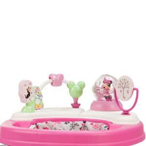 Disney Baby Minnie Mouse Music and Lights Baby Walker with Activity Tray (Garden Delight)