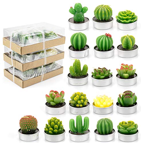 Lawei 18 Pack Cactus Tealight Candles - Handmade Delicate Succulent Mini Plants Candles - Perfect for Home Decor Candles Festival Wedding Props and House-Warming Party