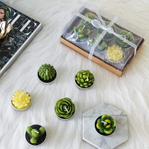 Lawei 18 Pack Cactus Tealight Candles - Handmade Delicate Succulent Mini Plants Candles - Perfect for Home Decor Candles Festival Wedding Props and House-Warming Party