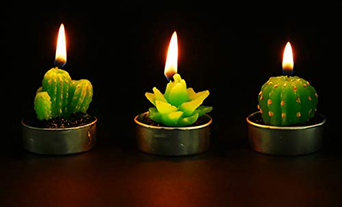 Lawei 18 Pack Cactus Tealight Candles - Handmade Delicate Succulent Mini Plants Candles - Perfect for Home Decor Candles Festival Wedding Props and House-Warming Party