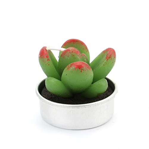 Lawei 18 Pack Cactus Tealight Candles - Handmade Delicate Succulent Mini Plants Candles - Perfect for Home Decor Candles Festival Wedding Props and House-Warming Party