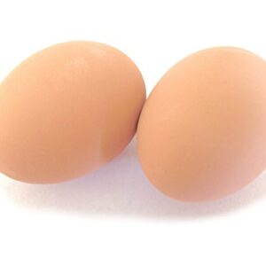 Ceramic Chicken Nesting Eggs (Brown) - Fake Training Eggs for Laying Chickens, Hen Nest Boxes & Home Decoration