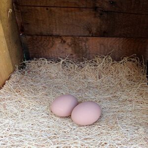 Ceramic Chicken Nesting Eggs (Brown) - Fake Training Eggs for Laying Chickens, Hen Nest Boxes & Home Decoration