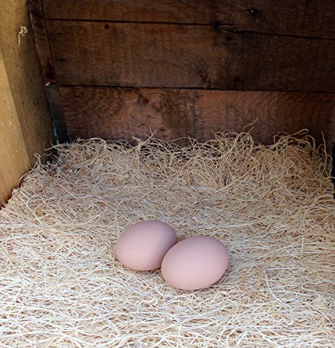 Ceramic Chicken Nesting Eggs (Brown) - Fake Training Eggs for Laying Chickens, Hen Nest Boxes & Home Decoration