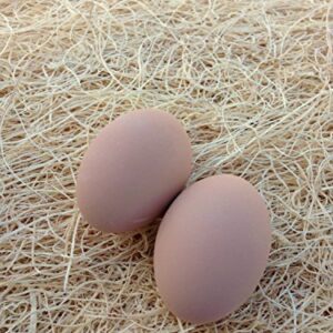 Ceramic Chicken Nesting Eggs (Brown) - Fake Training Eggs for Laying Chickens, Hen Nest Boxes & Home Decoration