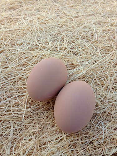 Ceramic Chicken Nesting Eggs (Brown) - Fake Training Eggs for Laying Chickens, Hen Nest Boxes & Home Decoration