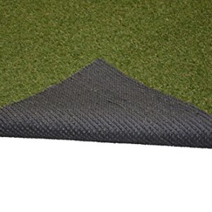 Garland Rug Artificial Grass Turf Indoor/Outdoor Area Rug, 5-Feet by 7-Feet, Green