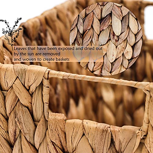 11.5"L x 10"W x 8"H Hyacinth Storage Basket with Handles, Rectangular, by Trademark Innovations