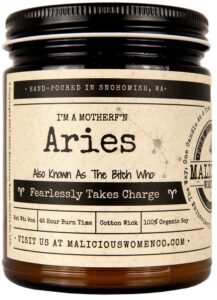 malicious women candle co – aries the zodiac bitch – fearlessly takes charge, a hot mess (red hot cinnamon), all-natural organic soy candle, 9 oz